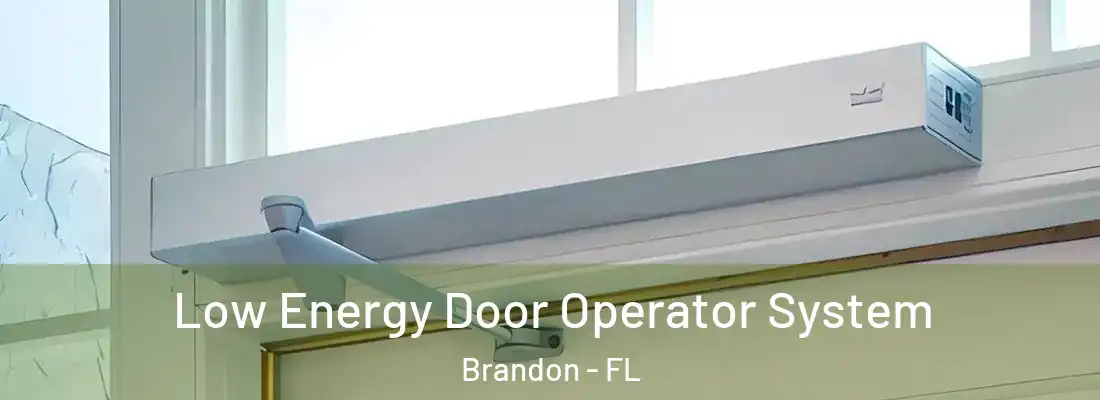 Low Energy Door Operator System Brandon - FL