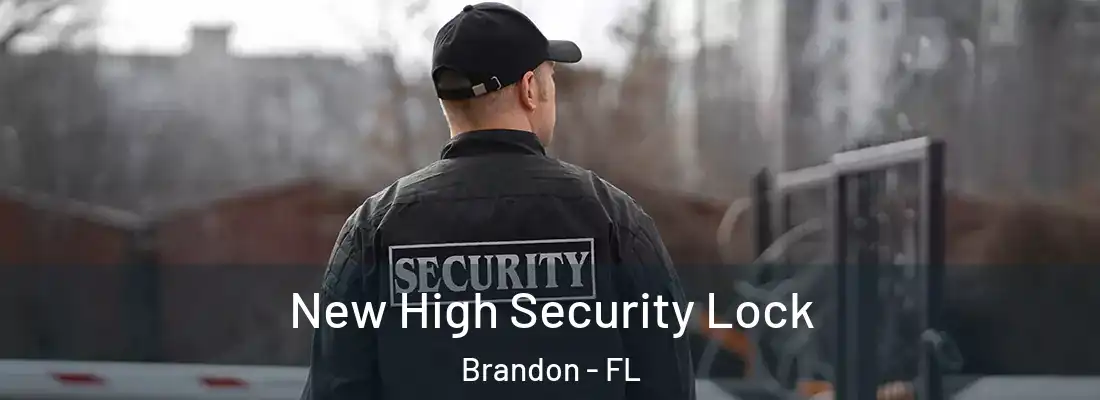 New High Security Lock Brandon - FL